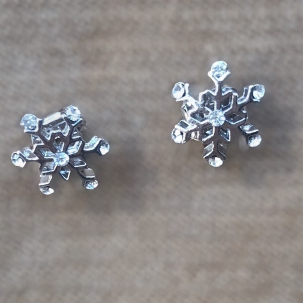 Earrings, Beautiful snowflakes